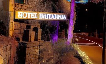 Hotel Britannia