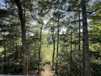 Firefly 3BR/3BA cabin with amazing views!