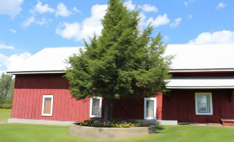 Northern Family Motel - Housity