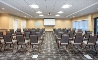 a large conference room with rows of chairs arranged in front of a projector screen , ready for a meeting or presentation at TownePlace Suites Detroit Belleville
