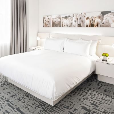 Deluxe King Room 21C Museum Hotel Lexington Promo Code