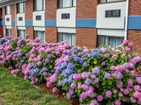 Hyannis Plaza Hotel Hotels in Barnstable