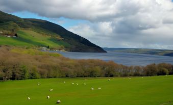 a lush green field with sheep grazing in the pasture , surrounded by a body of water at Atholl Arms