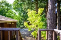 Log Cottages Chausunomori