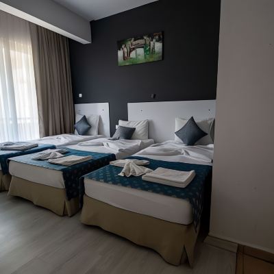 Panoramic Triple Room, Multiple Beds