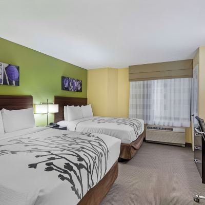 2 Queen Beds, Pet-Friendly Room, Non-Smoking