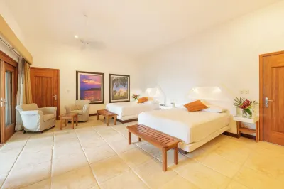 Hotel Gringo Perdido Hotels in 