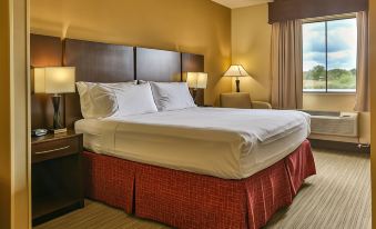 Holiday Inn Express & Suites Houston South - Pearland