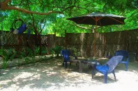 Mango Tree Island 420 Hotels in 