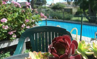 a small backyard with a swimming pool surrounded by green plants and flowers , creating a relaxing atmosphere at Parkwood Motel and Apartments