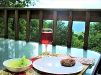 ALPINE LOG CABIN/COZY, COMFORTABLE, MODERN/BLUE RIDGE MOUNTAINS NEAR BOONE N.C.