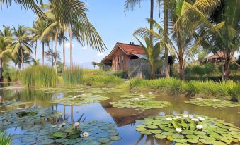 a small wooden house surrounded by palm trees and water lilies , creating a serene and picturesque scene at Borobudur Bed & Breakfast
