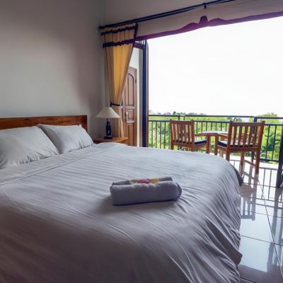 Deluxe Double or Twin Room with Balcony