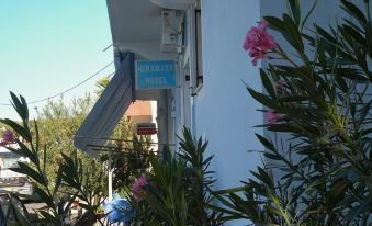 Hotel Miramare - Housity
