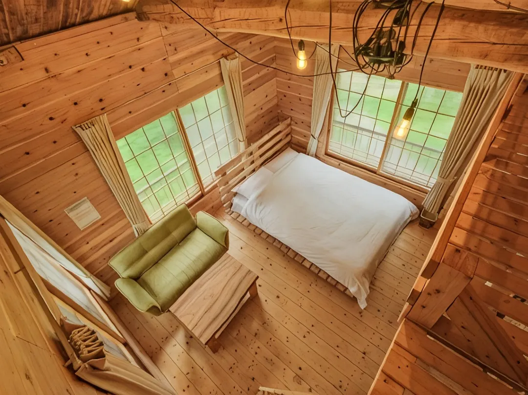 Minami Hakone Tree House - Japan