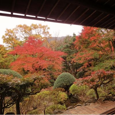 Room (Kasei Type, Main Building) Gora Kansuiro Promo Code