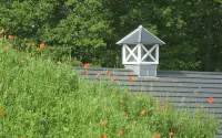Louisenhof Ferienapartments Und Wellness