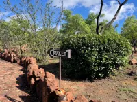 Abloom Bush Lodge and Spa Retreat