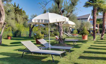 a large lawn with multiple lounge chairs and umbrellas , creating a relaxing atmosphere in the shade at Hotel Caesius Thermae & Spa Resort