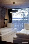 Treehotel Hotels in 