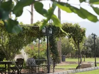 Meryem's Hotel Hotels in Catalkoy