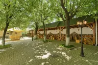 Hotel Traube Hotels in 