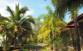 Coconut Bungalow