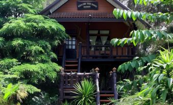 Khao Sok Tree House Resort