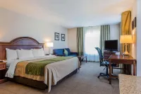 Comfort Inn & Suites Hotel a 