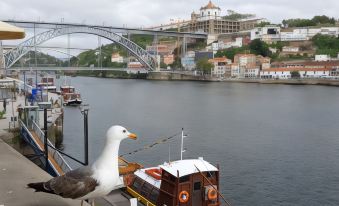 Porto River House