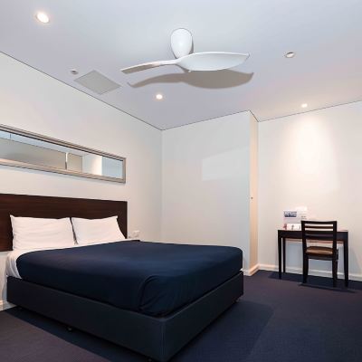 高級大床房帶太陽能天窗/無窗戶- 無客房打掃