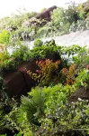 Inhala Hotel Garden