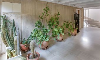 Charming Apartment Few Steps from Acropolis by Ghh