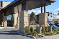 Quality Inn & Suites Hotels in 