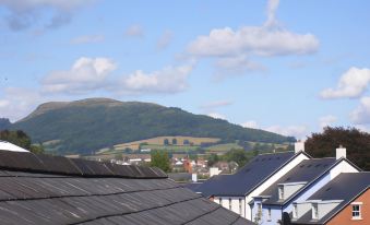 a view of a town from a rooftop , with a hill in the background and houses on the hillside at The Kings Head Hotel