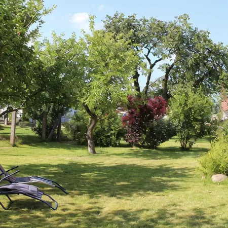 Small isolated cottage on a large meadow and orchard land