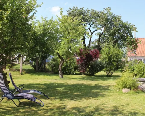 Small isolated cottage on a large meadow and orchard land Hotels in Putbus