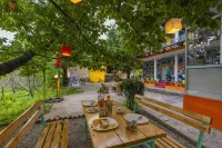 Zostel Old Manali