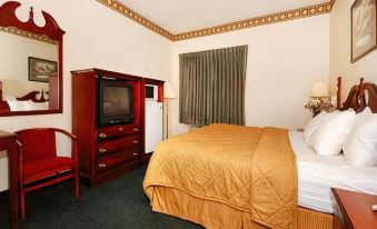 Comfort Inn & Suites - Housity