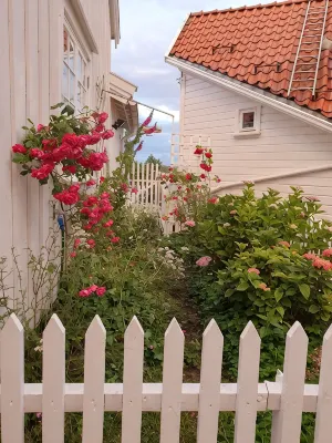 Summer city nr 1 in  south Norway.  Apartment right in the center of the town! Hotels in 