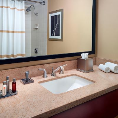 庭景或湖景特大床房 華盛頓杜勒斯國際機場萬豪酒店優惠