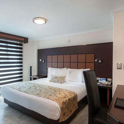 Standard King Room-Non-Smoking Loa Inn Centro Promo Code