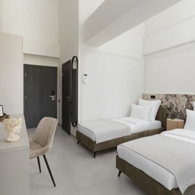Deluxe Room With 2 Single Beds Delos Promo Code