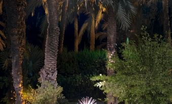 Jardín Milenio - Housity
