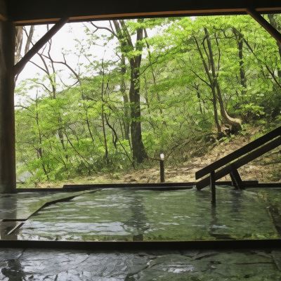 和風ルーム 元祖「うなぎ湯」の宿　ゆさや旅館 クーポン