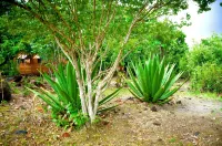 BAYLEAF: The Perfect Hideaway near secluded beach โรงแรมใน