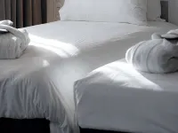 이비스 스타일 베지에 센터