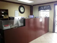 إكستنديد ستاي سنايدر