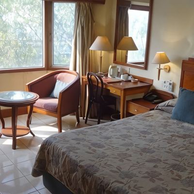 Business Double Room, 1 Queen Bed, Non Smoking Nirula's Hotel Promo Code