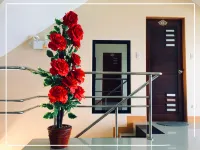 Lcf - BB Hotel